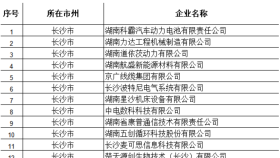 湖南云端商业管理有限公司入选湖南省第一批创新型中小企业名单